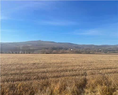 De vanzare teren extravilan zona Ciurila