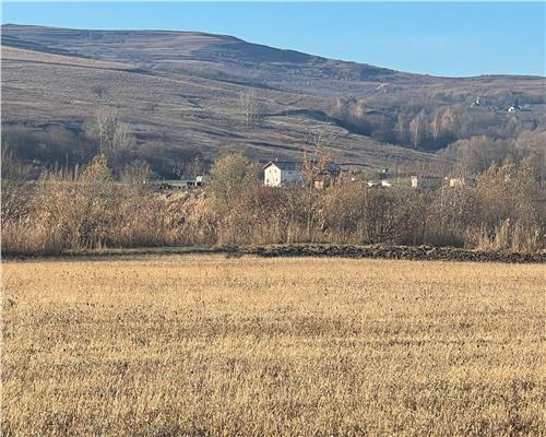 De vanzare teren extravilan zona Ciurila