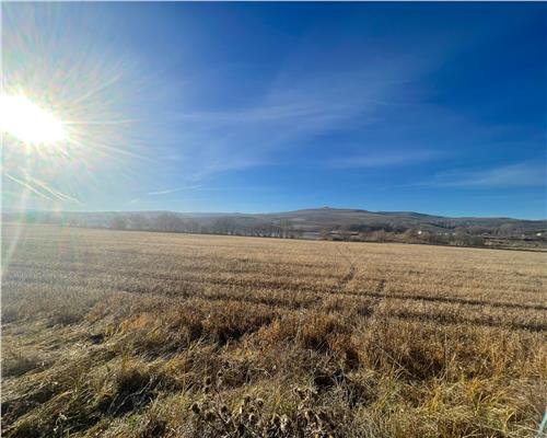 De vanzare teren extravilan zona Ciurila